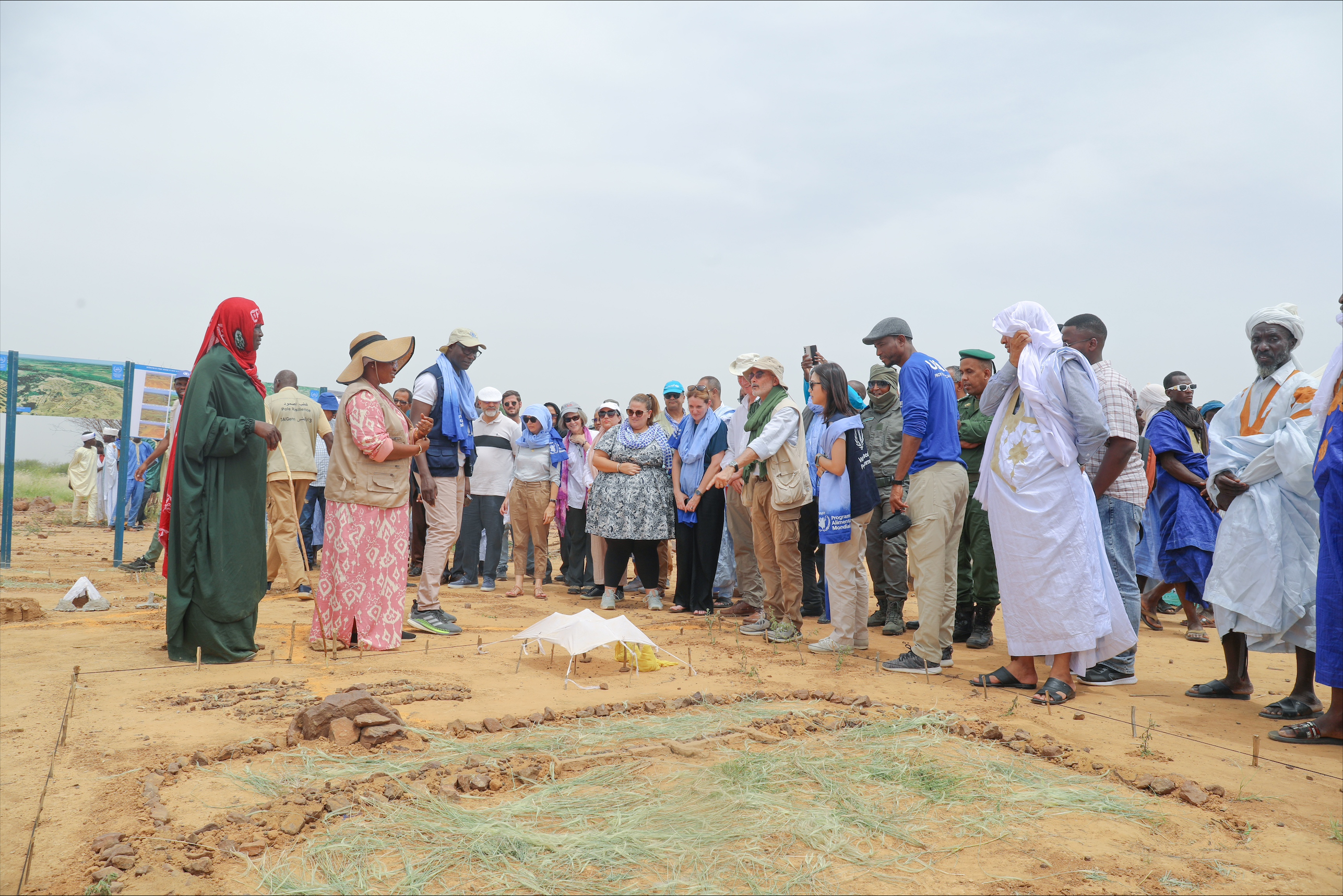 Une mission de haut niveau appelle à soutenir la Mauritanie et le Sahel face au changement climatique